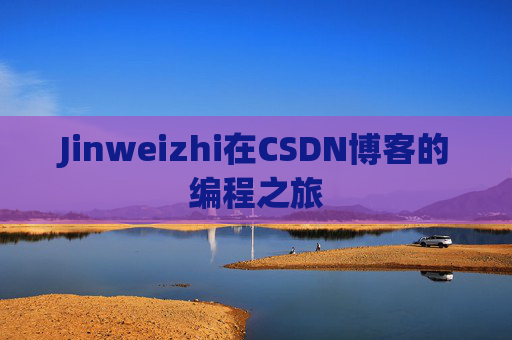 Jinweizhi在CSDN博客的编程之旅